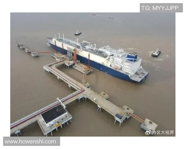 全球总决赛特别报道：LNG如何在挑战中实现成功转型与创新之路